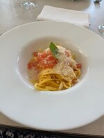 Ein tiefer Teller auf dem das Gericht angerichtet ist. Nudeln mit Toamatensauce und Basilikum